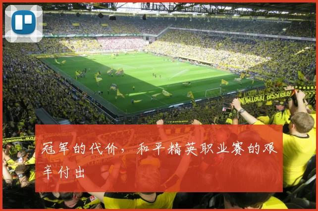 冠军的代价，和平精英职业赛的艰辛付出